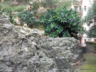 Ipogeo Quadrato